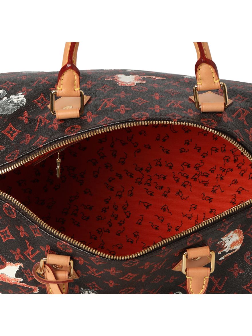 LV Catogram Speedy Bandouliere 30 Bag
