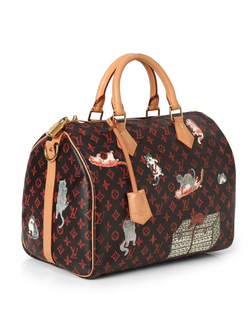 LV Catogram Speedy Bandouliere 30 Bag