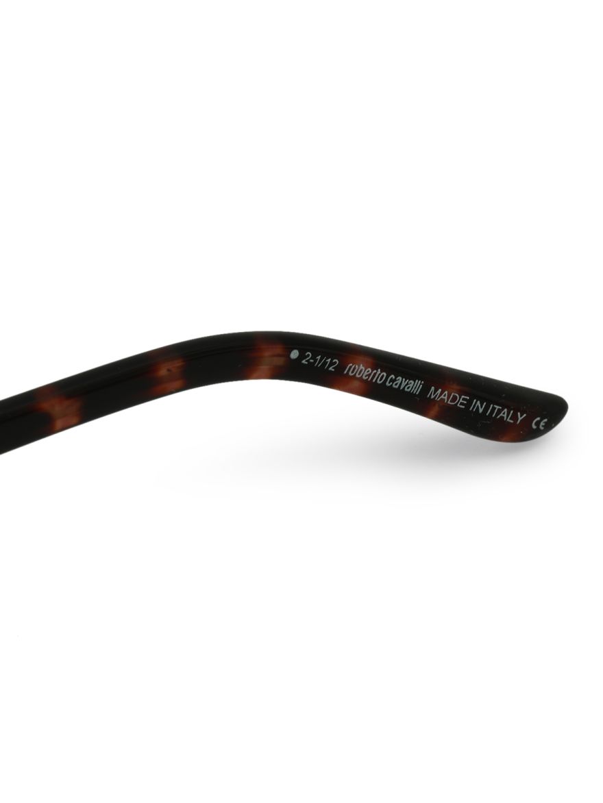 Clarodendro Women Sunglasses
