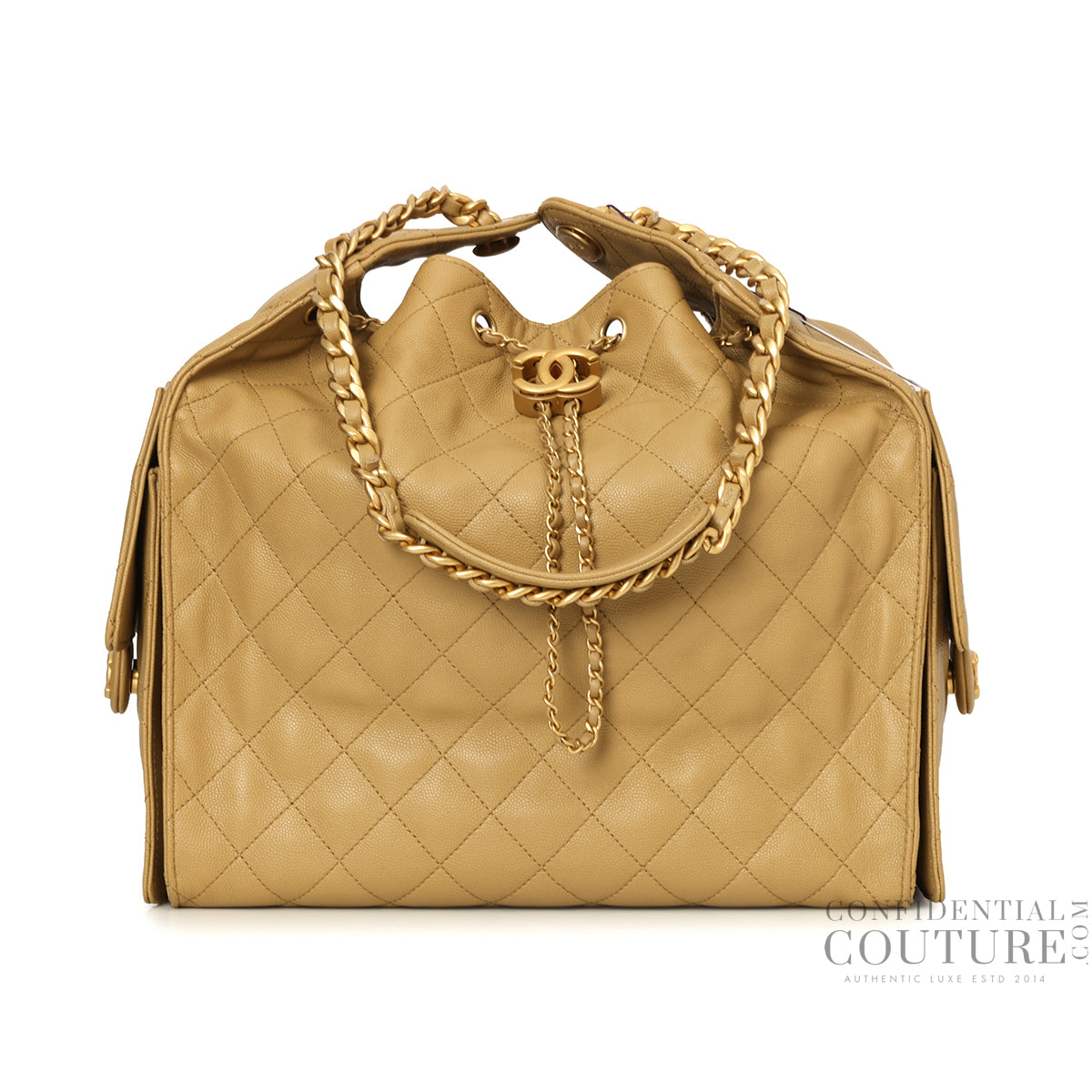 25 Dark Beige Medium Grained Calfskin Leather Bag