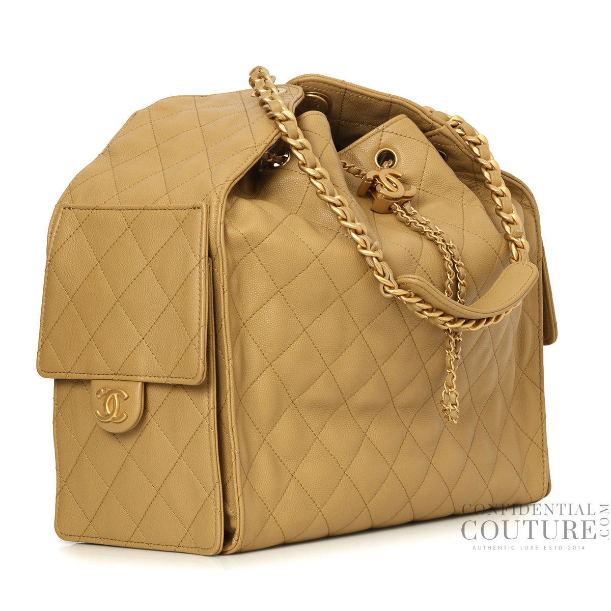 25 Dark Beige Medium Grained Calfskin Leather Bag