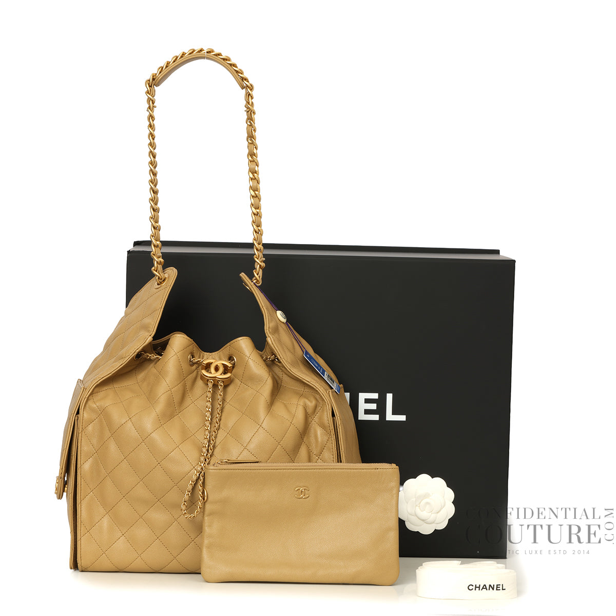 25 Dark Beige Medium Grained Calfskin Leather Bag