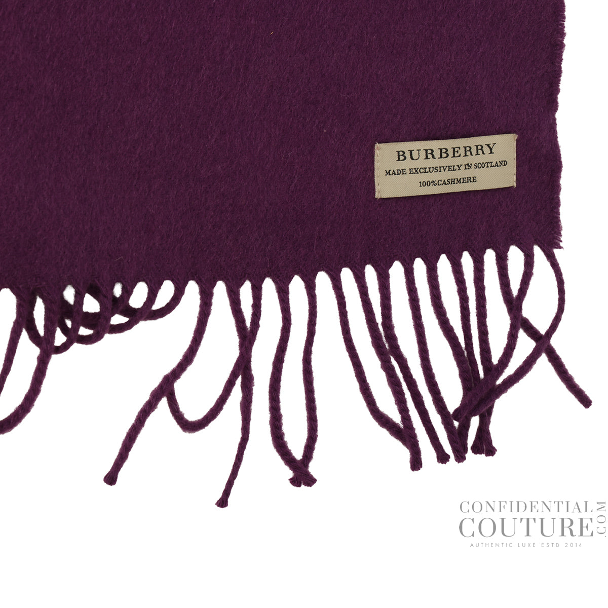 Purple 100% Cashmere Scarf