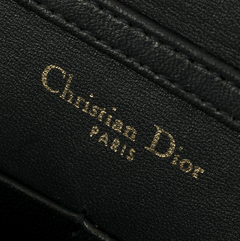 Gold Microcannage Diorama Wallet on Chain Bag