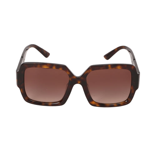 Acetate Brown Shades