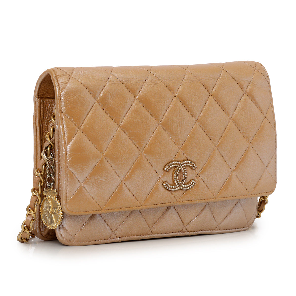 Vintage Lambskin Wallet on Chain Bag