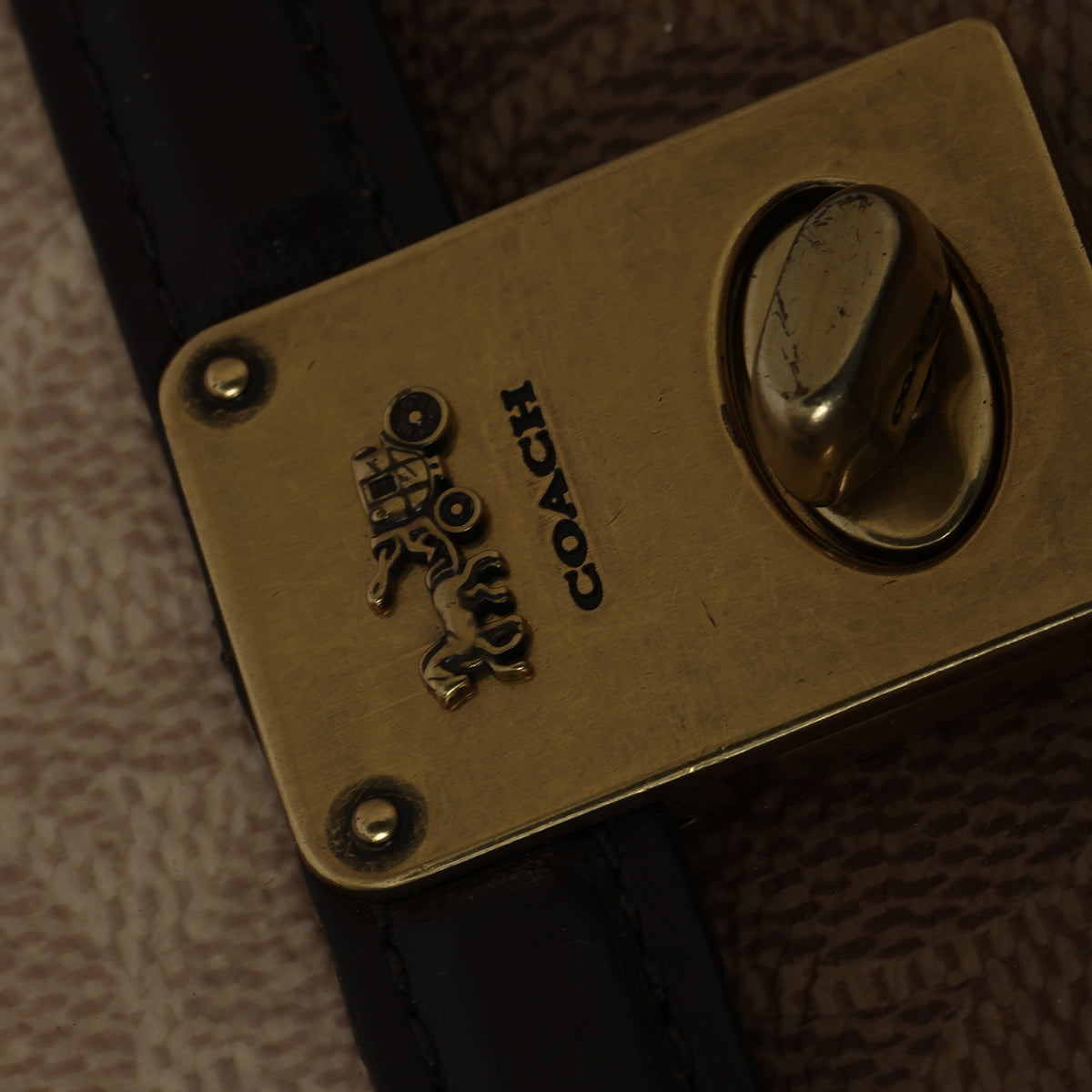 Beige & Brown Blocked Signature Canvas Hutton Belt Bag