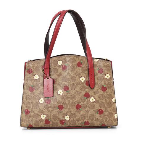 Apple Print Brown & Maroon Shoulder Bag with Detachable Strap