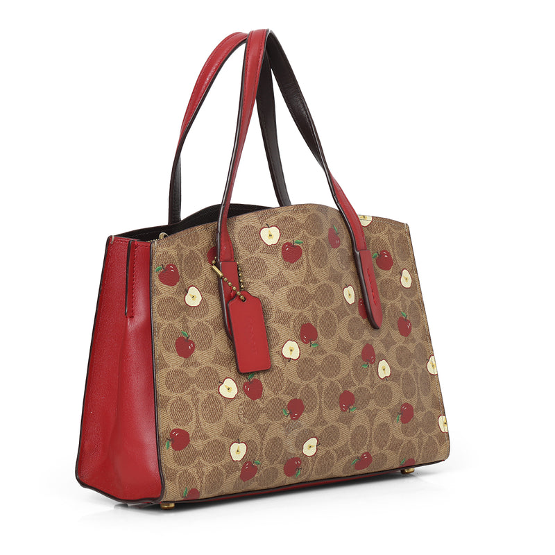 Apple Print Brown & Maroon Shoulder Bag with Detachable Strap