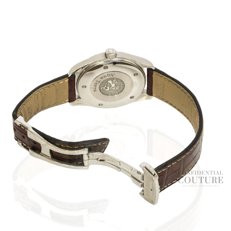 Seamaster Aqua Terra 150M | 41MM