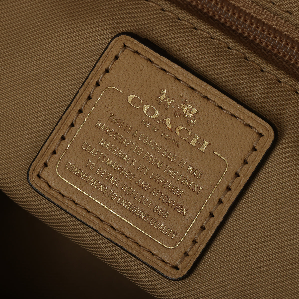 Swagger Leather Tote Bag