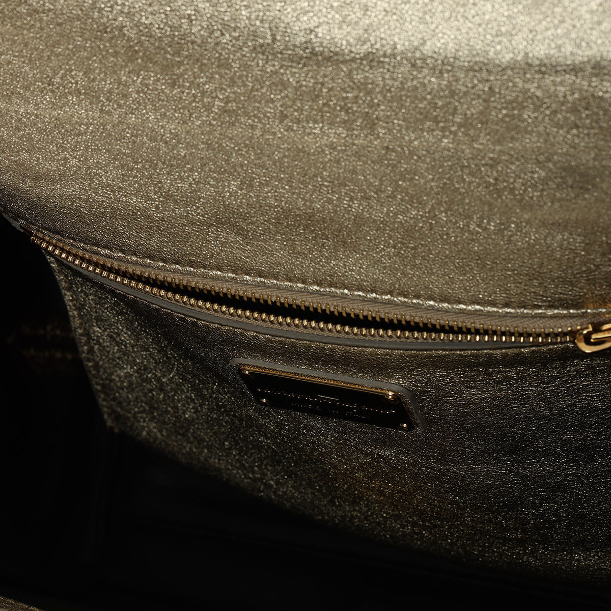 Multicolor Metallic Leather Small Sofia Bag