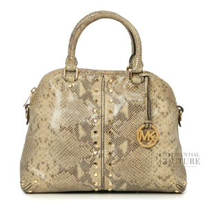Snakeskin Embossed Handbag
