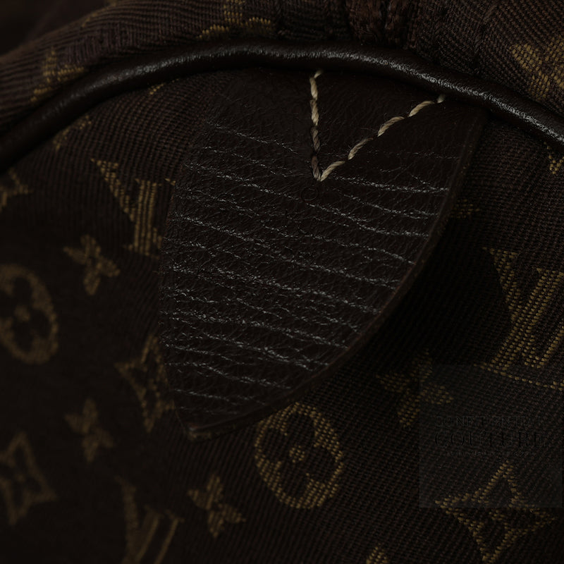 Speedy 30 Louis Vuitton price