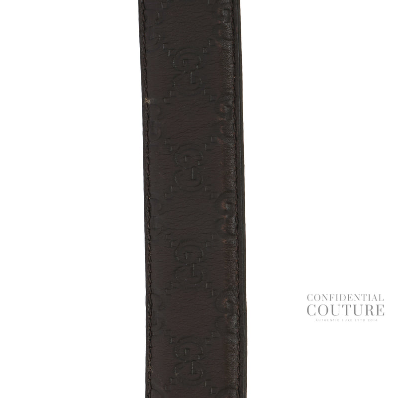 GG Guccissima Brown Leather Belt | 95/38