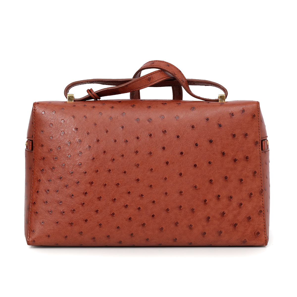 Deep Kummel/Sun Gold Extra Bag L27 In Ostrich Leather