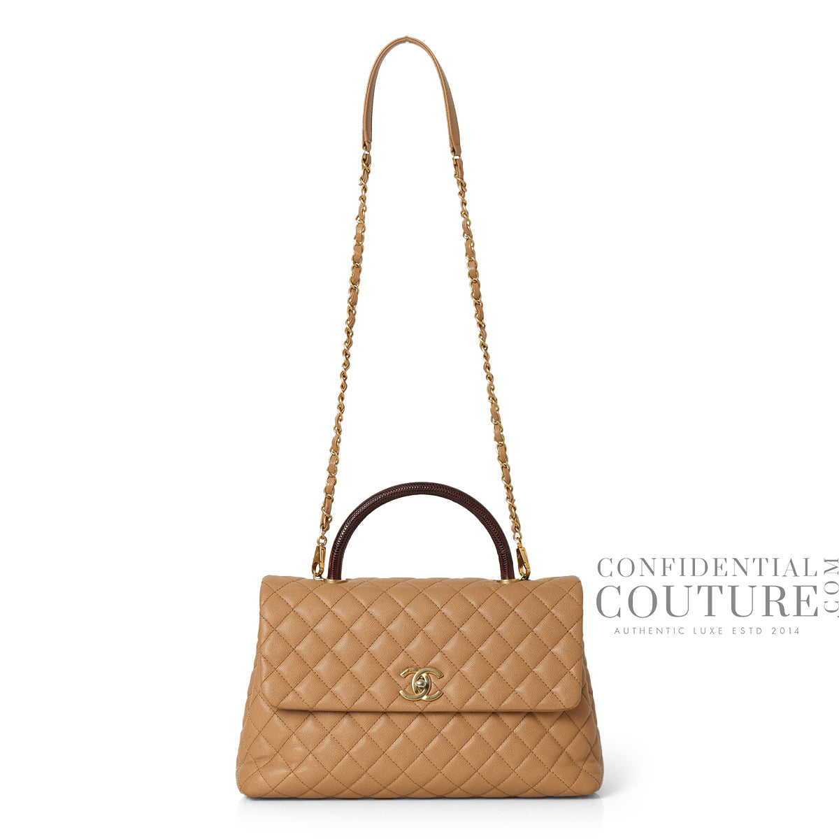 Nude/Burgundy Large Coco Handle Bag