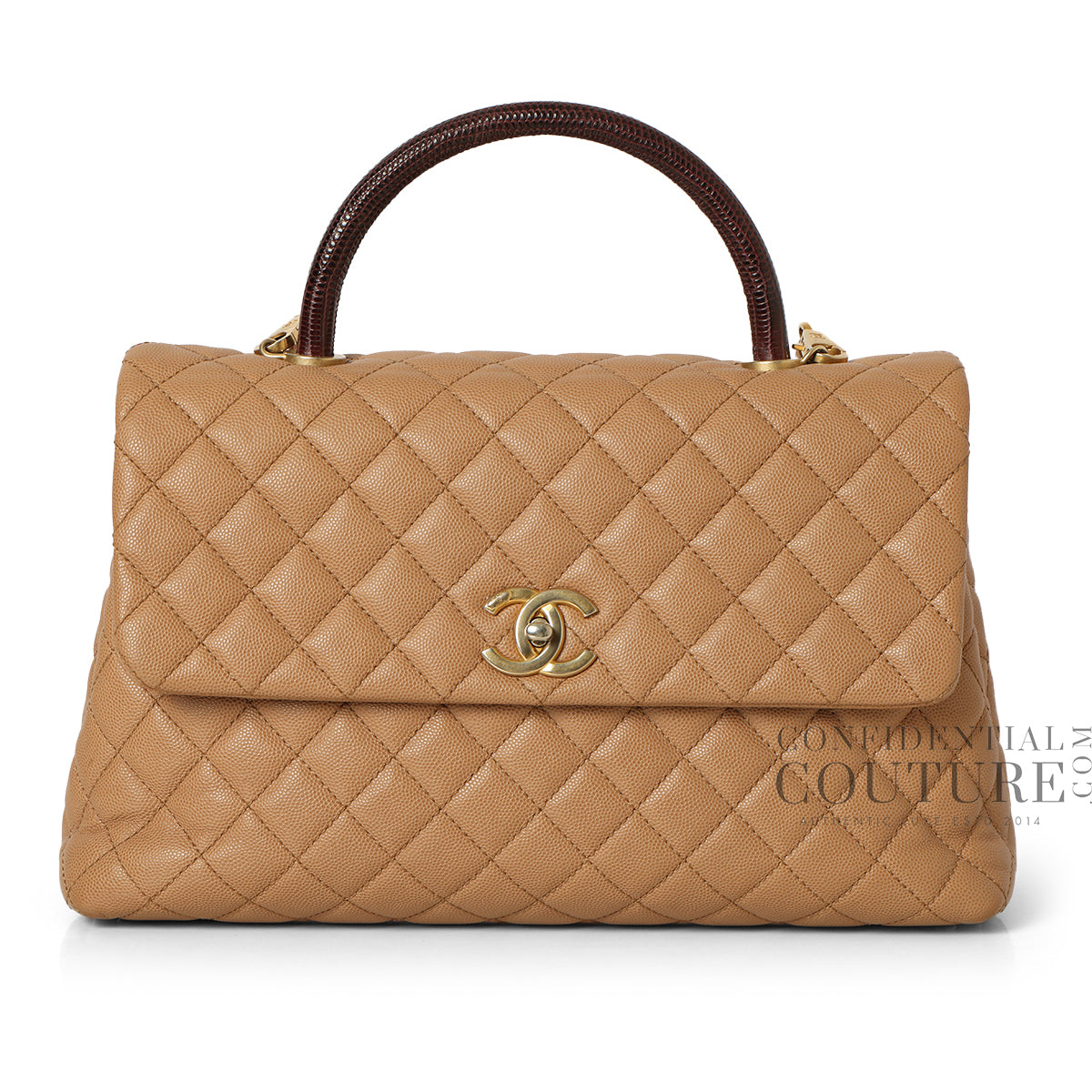 Nude/Burgundy Large Coco Handle Bag