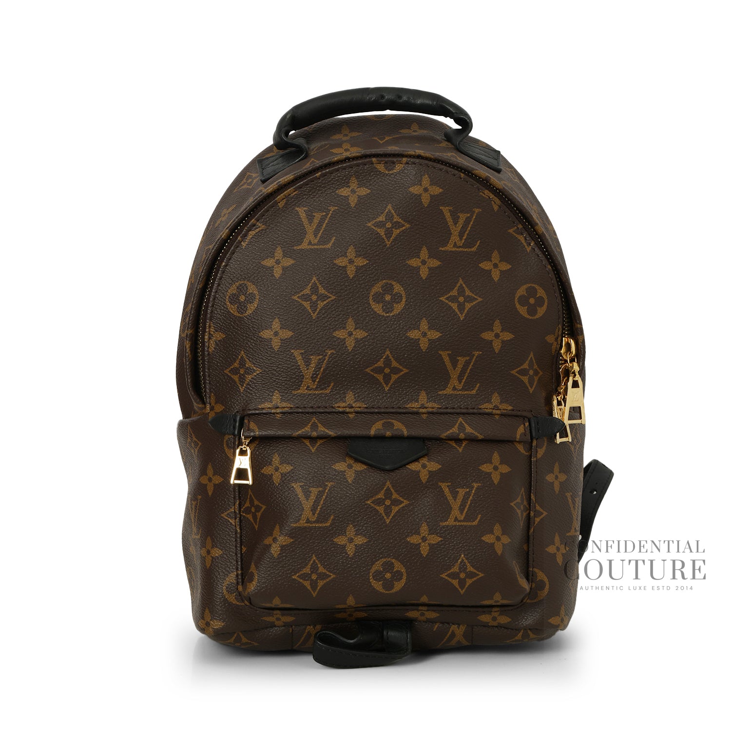 Monogram Canvas Palm Springs PM Backpack Bag