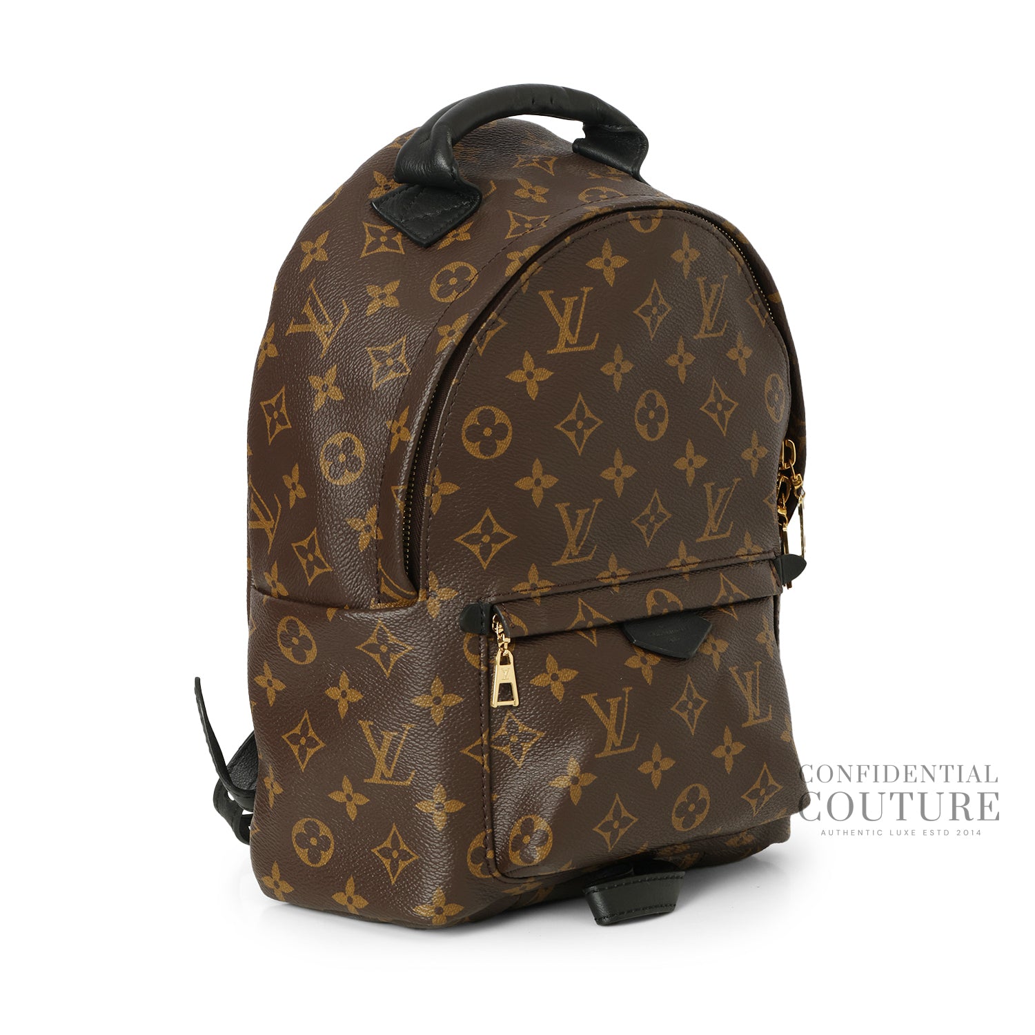 Monogram Canvas Palm Springs PM Backpack Bag