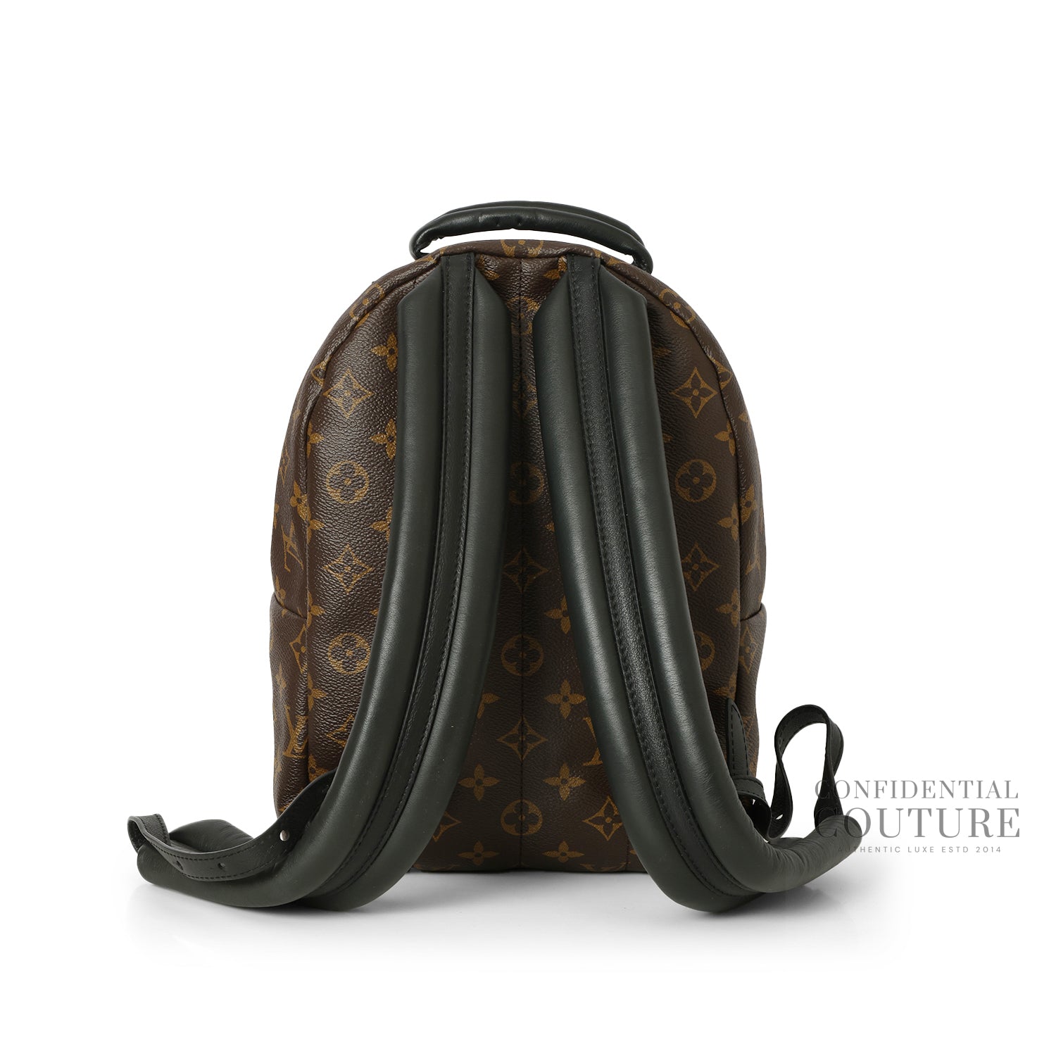 Monogram Canvas Palm Springs PM Backpack Bag