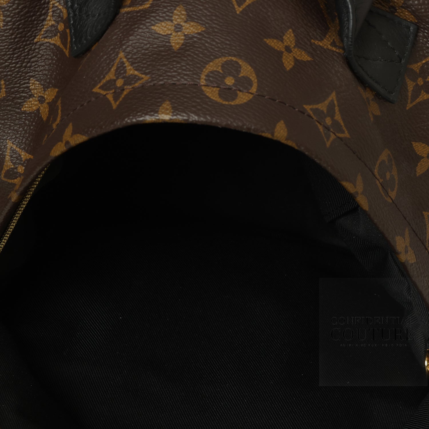 Monogram Canvas Palm Springs PM Backpack Bag