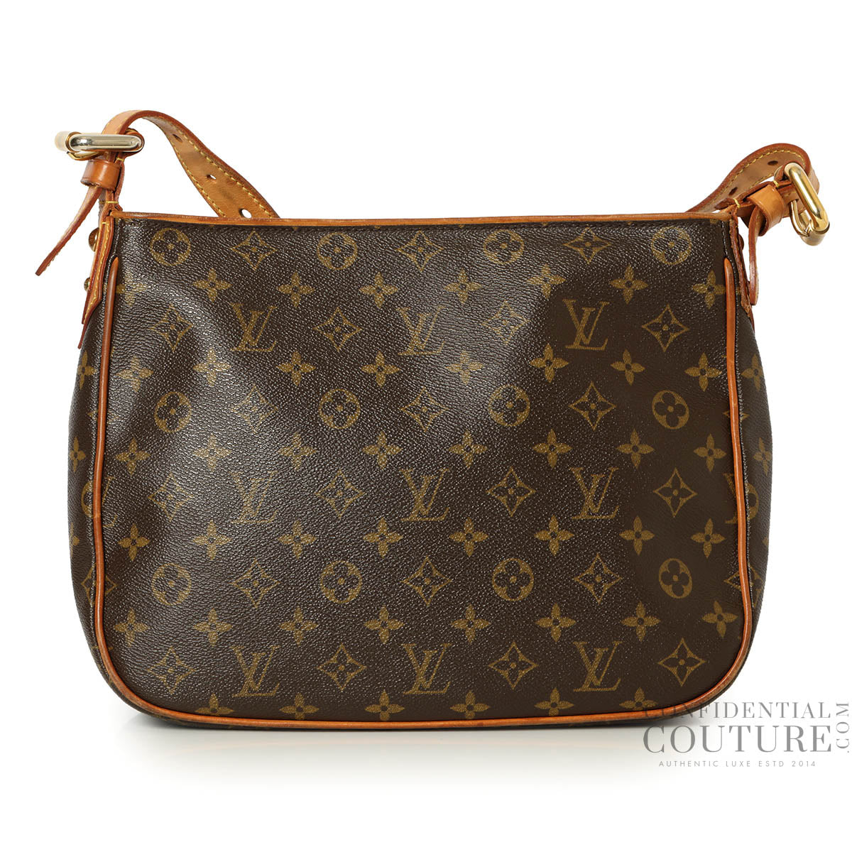 Brown Monogram Canvas Hudson GM Bag