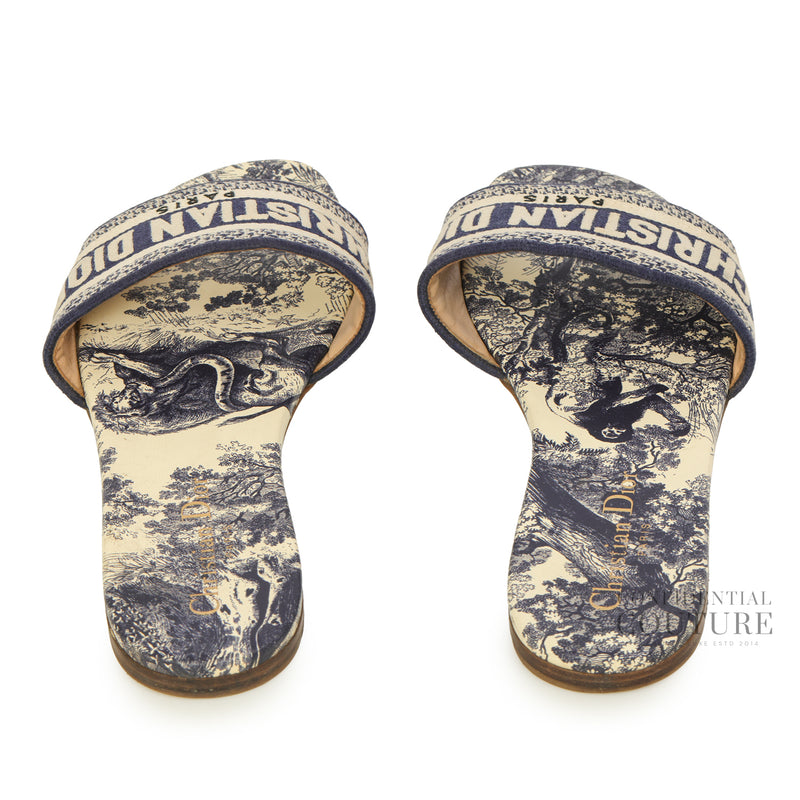 Dway Slide Vibrant Blue Embroidered Cotton and Toile de Jouy Motif | 38
