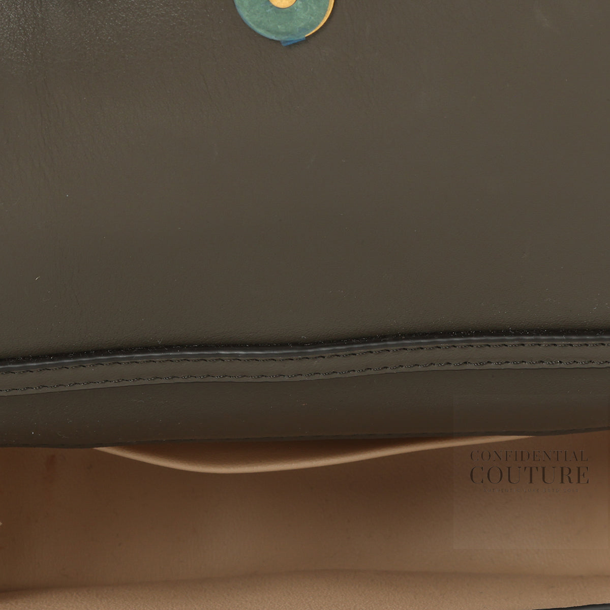 Brown Croc Embossed Small Nile Bracelet Minaudiere Crossbody Bag