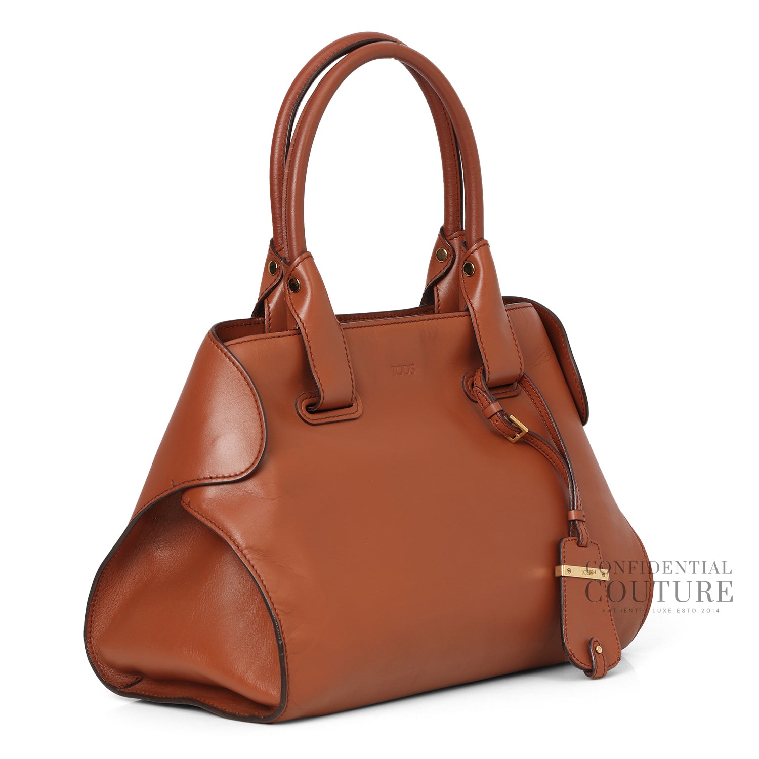 Brown Small Cape Leather Tote