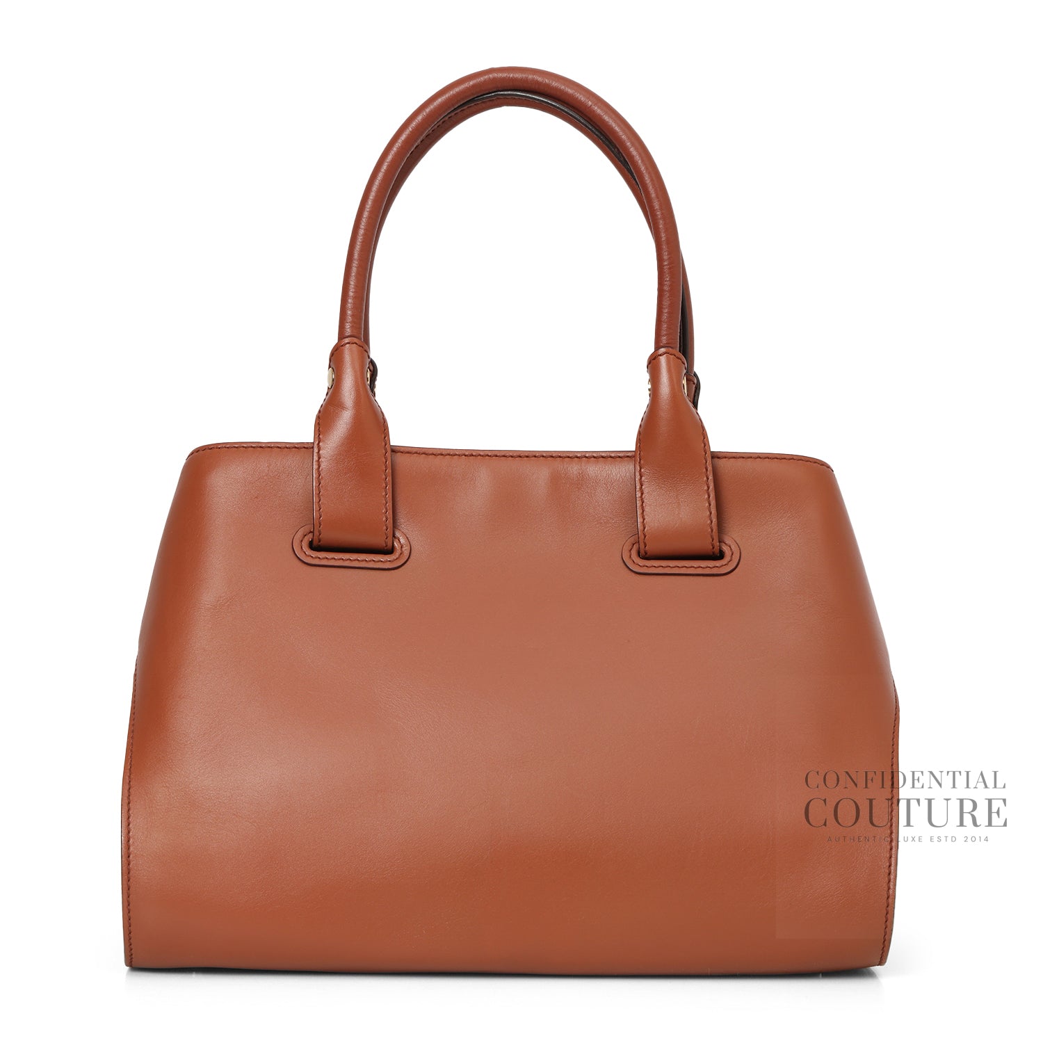 Brown Small Cape Leather Tote