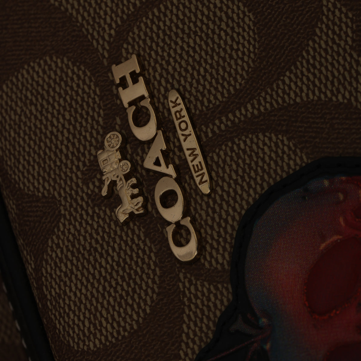 X Disney Carrie Backpack 23 In Signature Canvas With Patches