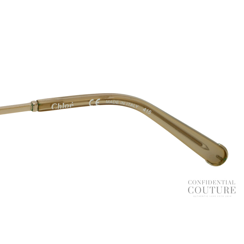 CE119S 734 Sunglasses