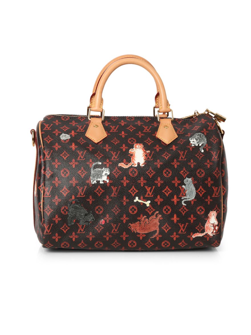 LV Catogram Speedy Bandouliere 30 Bag