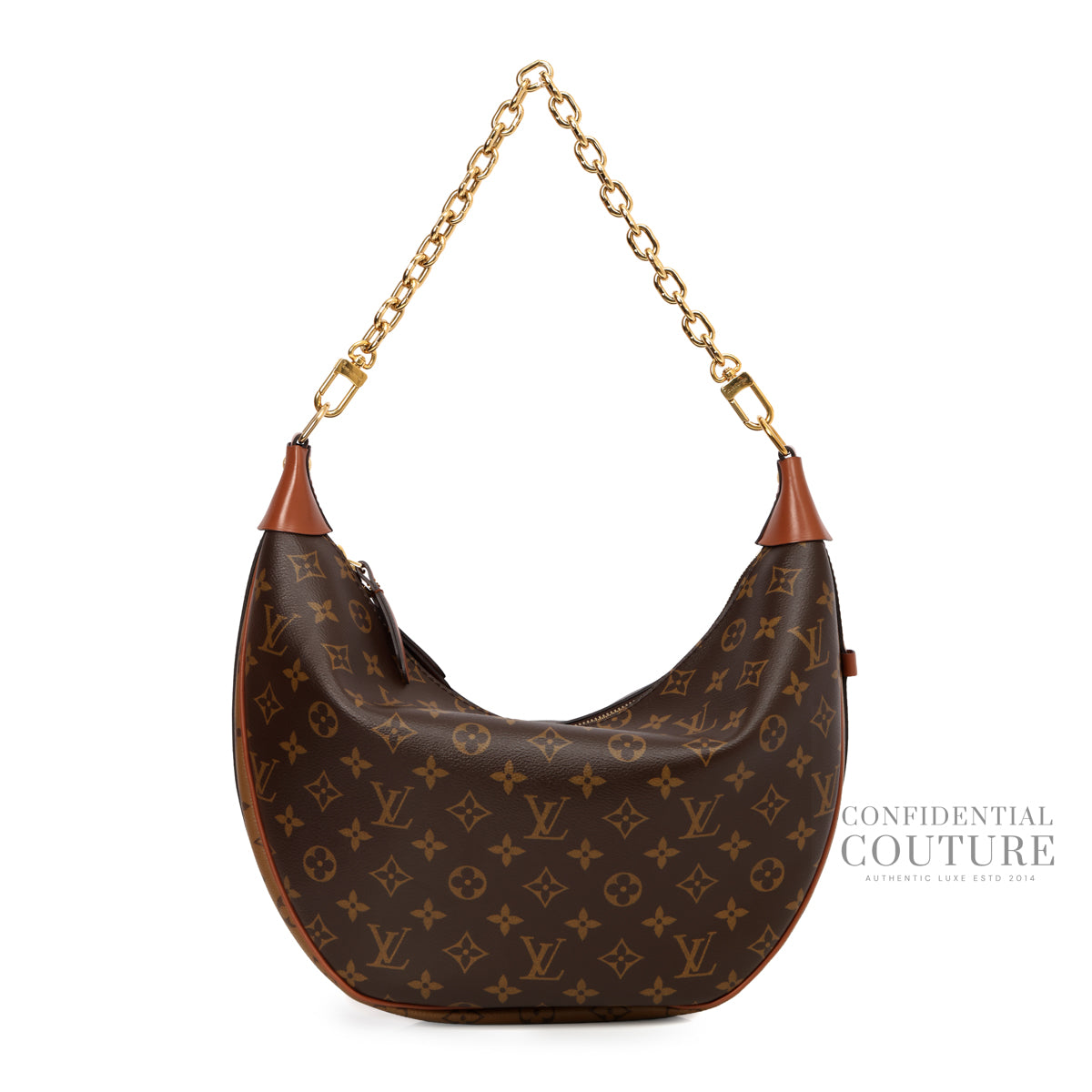 Loop Hobo Brown Monogram Shoulder Bag