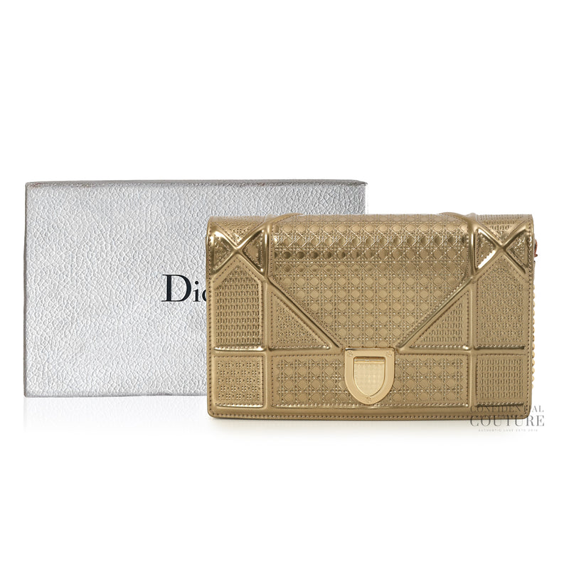 Gold Microcannage Diorama Wallet on Chain Bag